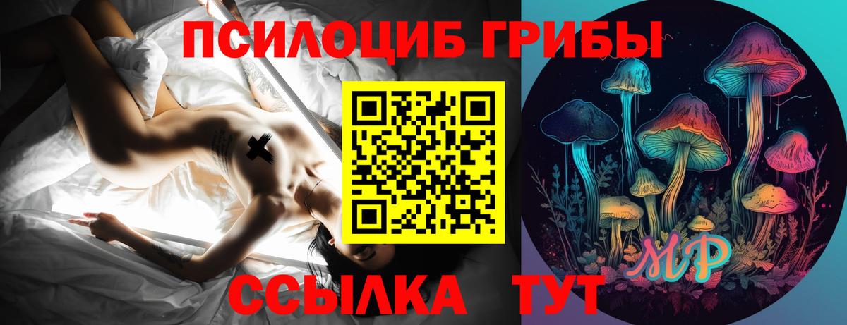 Гусиноозёрск  Галлюциногенные грибы мицелий  Галлюциногенные грибы прущие грибы  Вход с VPN 